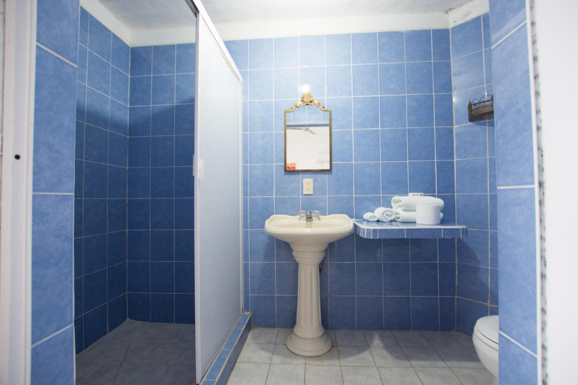 Traditional Sierra Leon Oceanfront Rooms - Adults Only プエルトバラータ エクステリア 写真